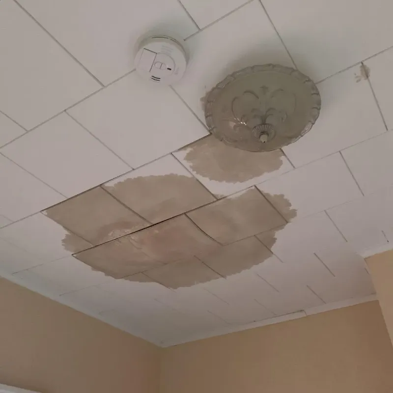 Ceiling Water Damage Repair in North Olmsted, OH