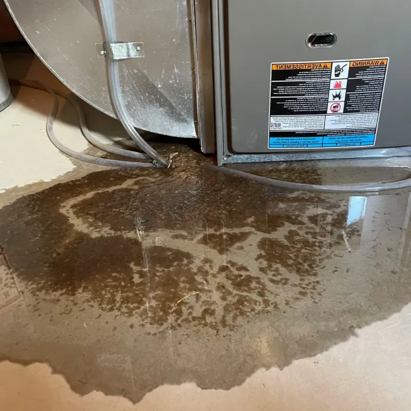 Pipe Burst and Leak Restoration in North Olmsted, OH